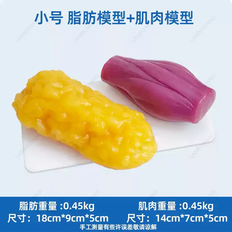 แบบจำลองกล้ามเนื้อและไขมันของม - Nutrition For Health Fitness & Sport Melvin Williams บทวิจารณ์และราคา
